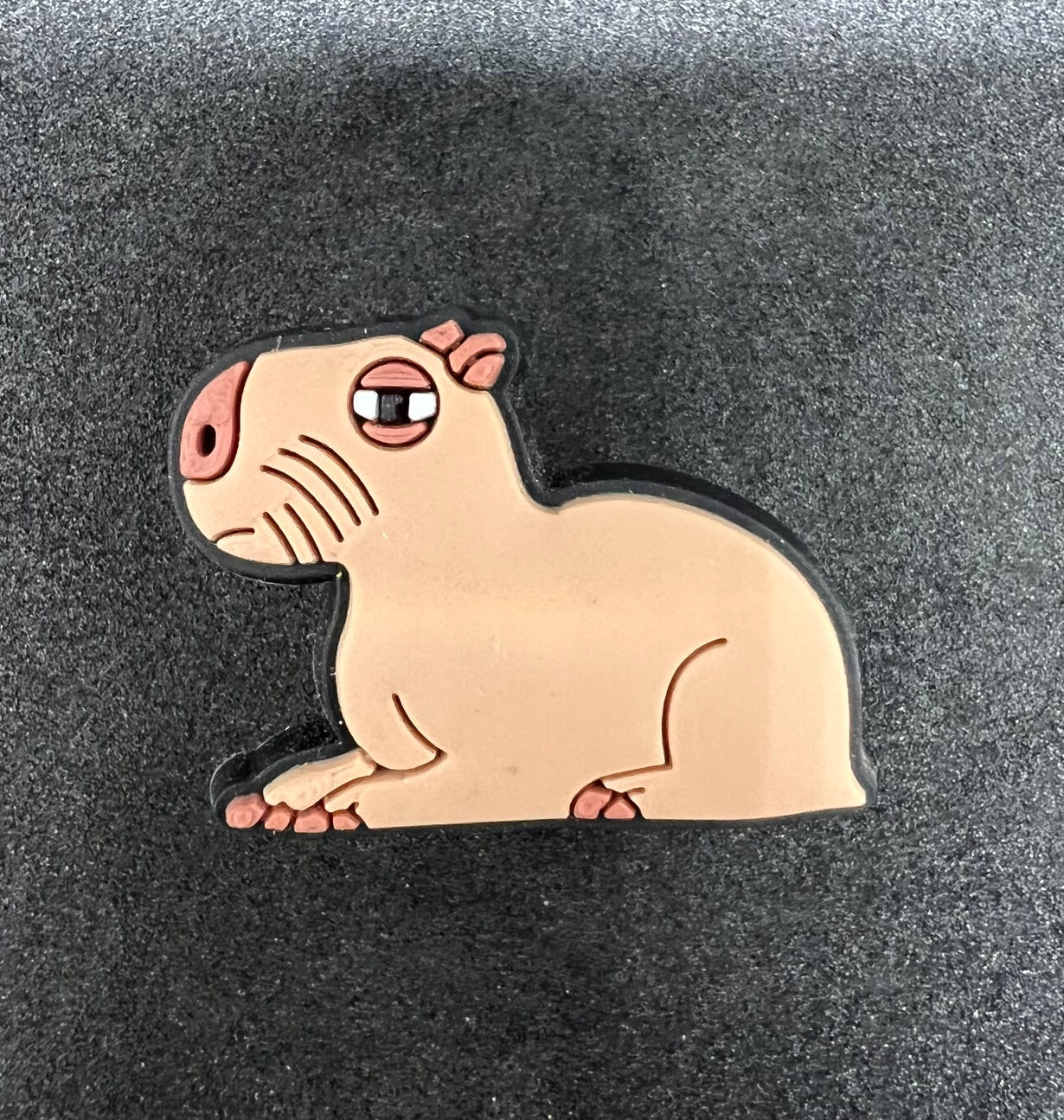 Capybara Charm